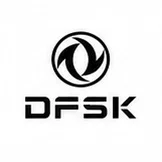 DFSK